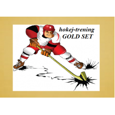 Hokej-trening GOLD Set